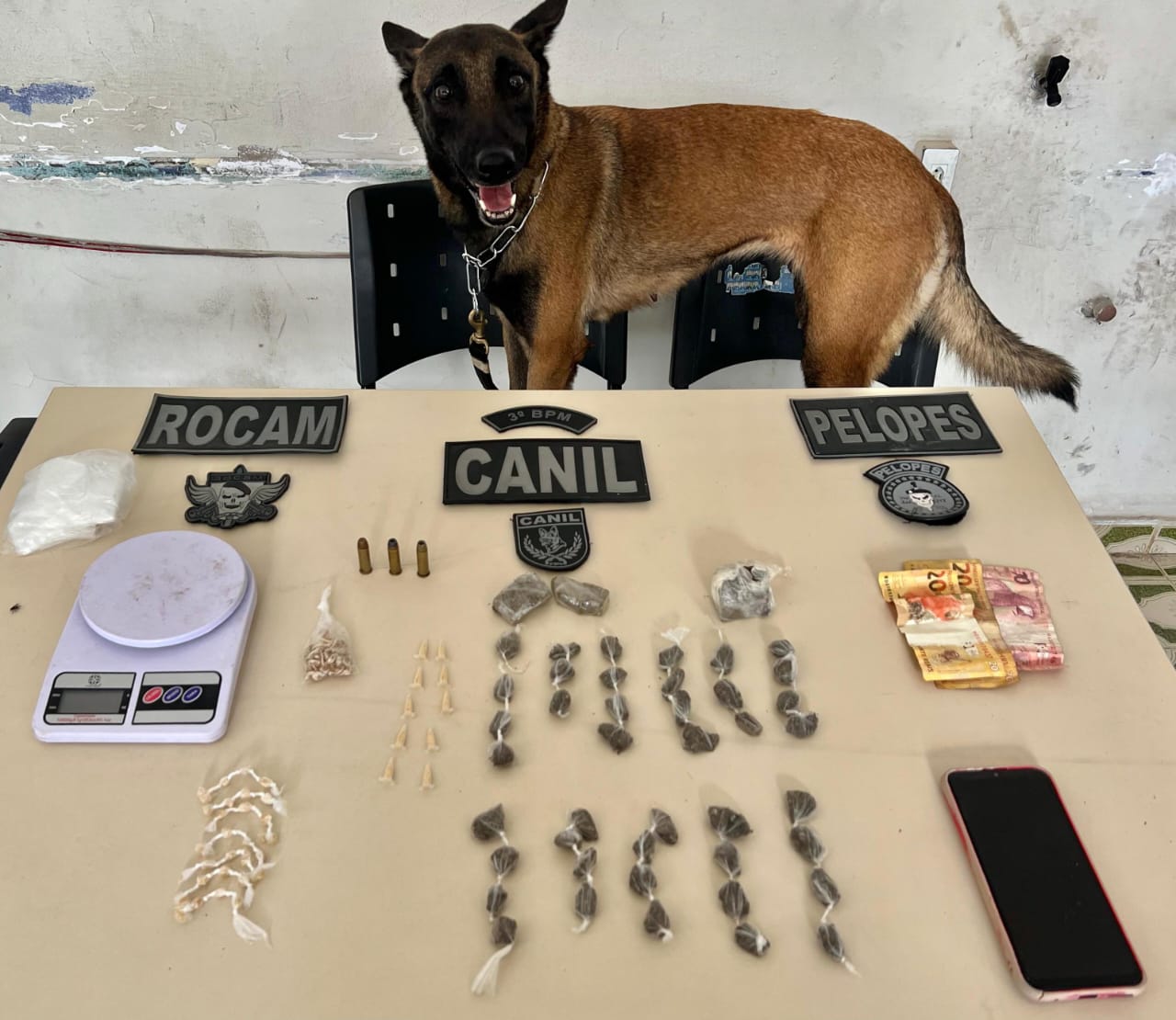 Com auxílio de cão farejador, PM prende homem em ponto de drogas em Arapiraca