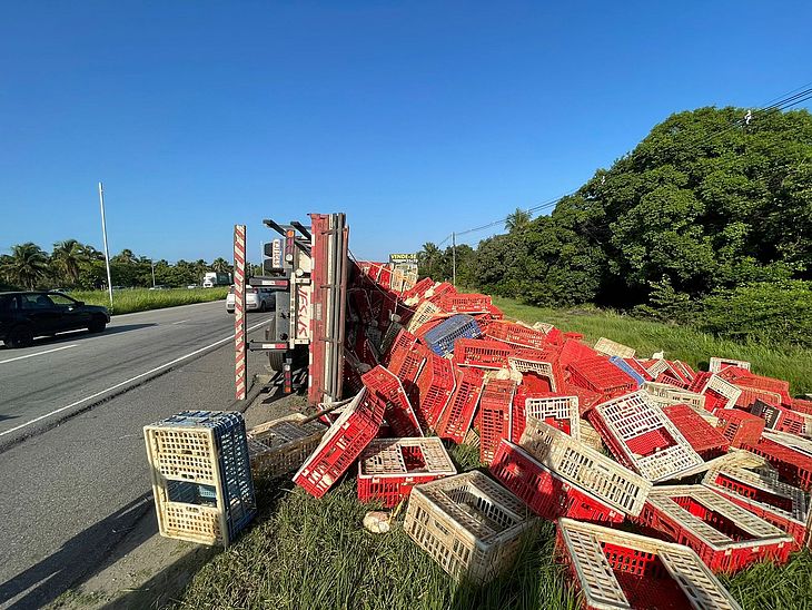 Caminhão tomba e carga de frangos vivos fica espalhada às margens da AL-101 Sul