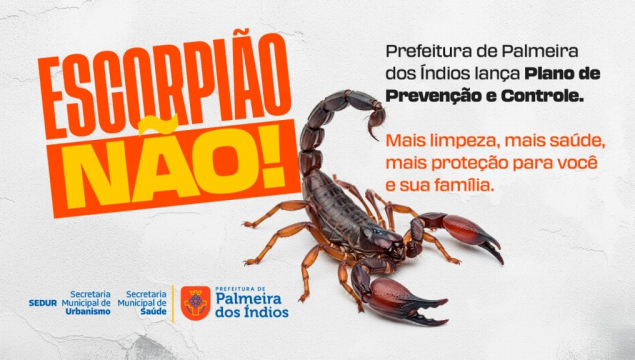 Prefeitura lança Plano de Ação para Prevenção e Controle de Escorpiões em Palmeira dos Índios