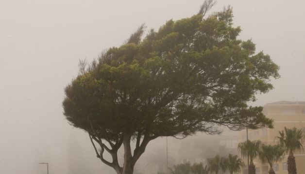 Velocidade dos ventos em AL pode variar de 22 a 55 km/h até o próximo domingo, alerta meteorologista