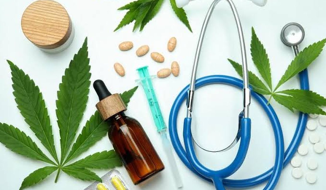 Governo do estado regulamenta o uso de cannabis medicinal em Alagoas - Foto: Reprodução