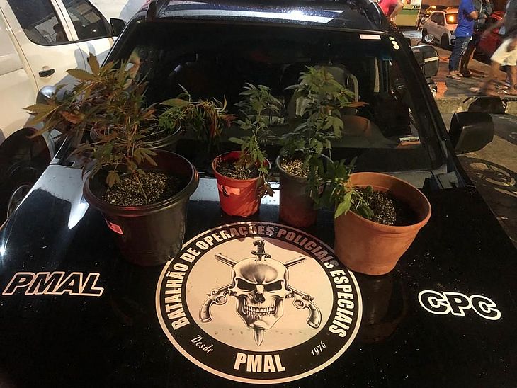 Polícia flagra estufa para cultivar maconha em quarto de casa, suspeito é preso