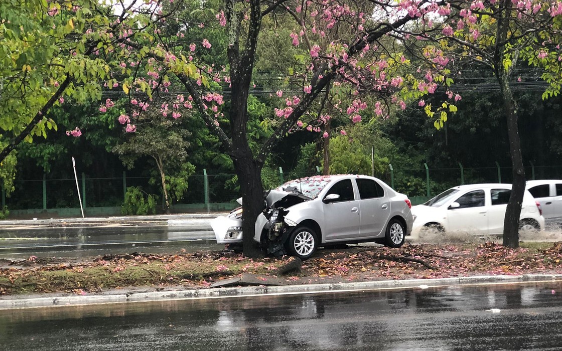 Motorista perdeu o controle da direção, vindo a colidir o veículo em uma árvore - Foto: Nick Marone/TV Gazeta