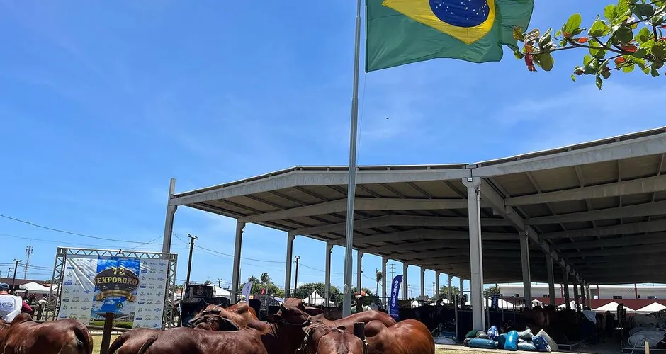 Expoagro deve gerar R$ 56 milhões em negócios para AL