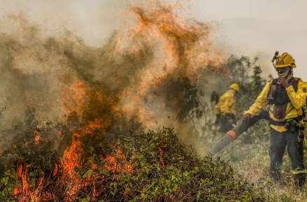 Brasil teve ao menos 1,9 mil focos de incêndio por dia em agosto