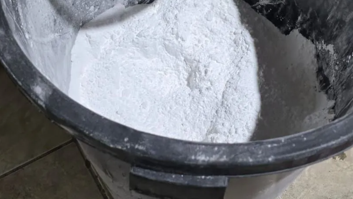 Alagoas tem 14 laboratórios para processar cocaína, aponta estudo; país registra 550