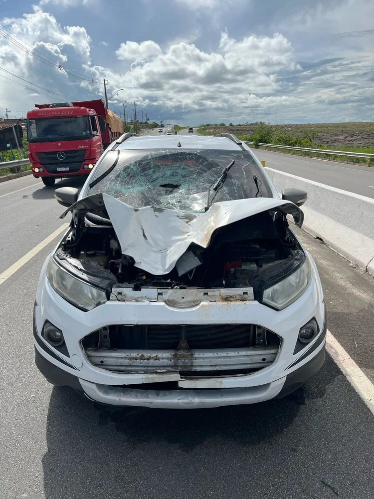 Homem tenta atravessar rodovia e morre atropelado em Campo Alegre