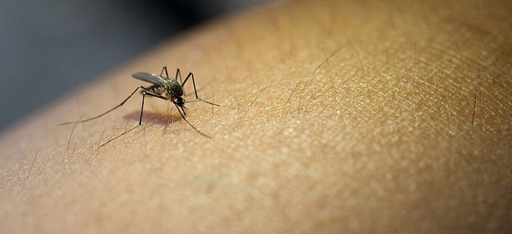 Número de casos confirmados de dengue aumenta 176,5% em Alagoas