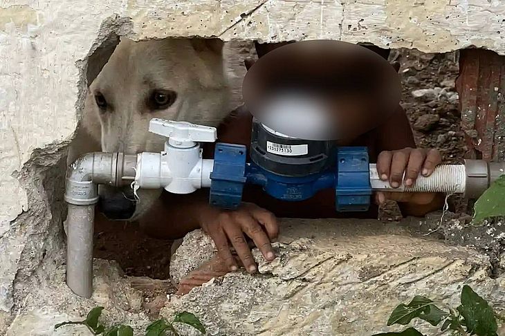 Criança é encontrada nua e ao lado de cão após denúncia de abandono de incapaz, em União os Palmares