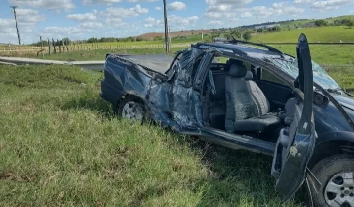 Condutor derruba dois postes e fica ferido ao desviar de cachorro na AL 110