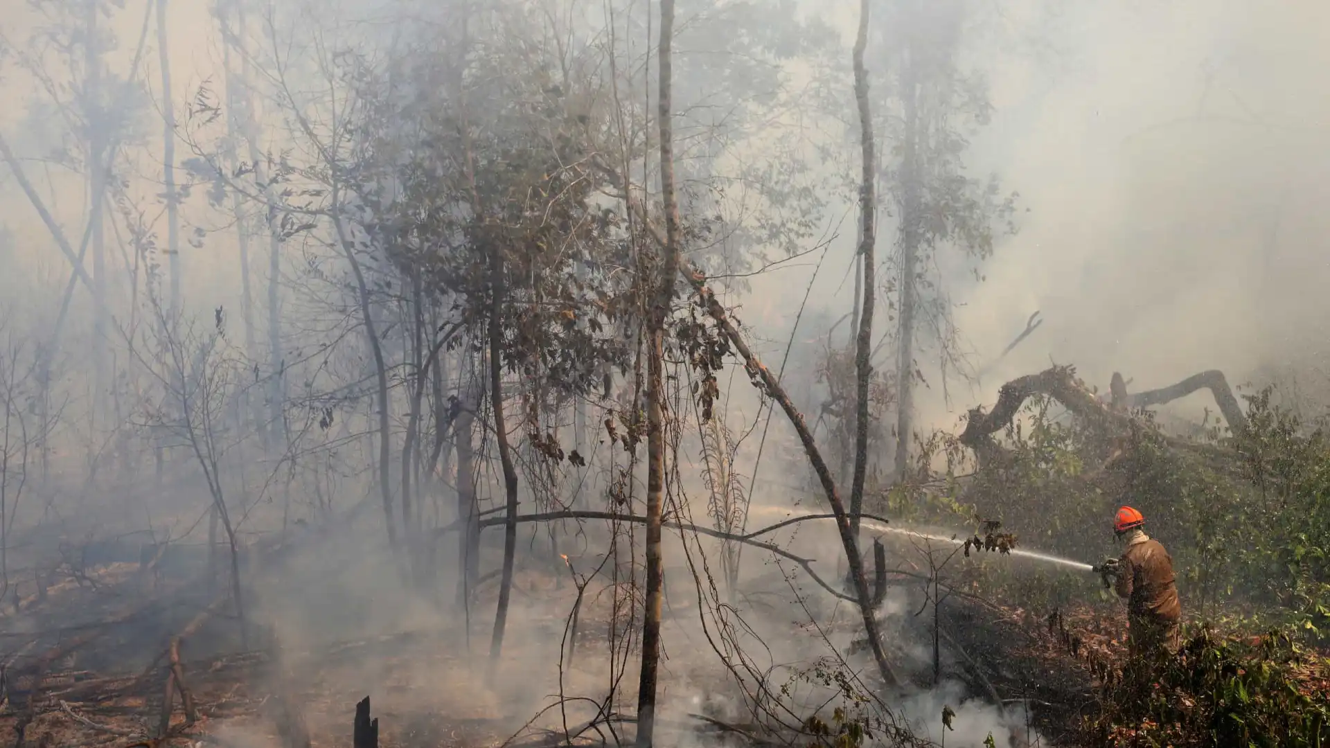 Sobe para 17 o número de cidades com focos de incêndio em São Paulo