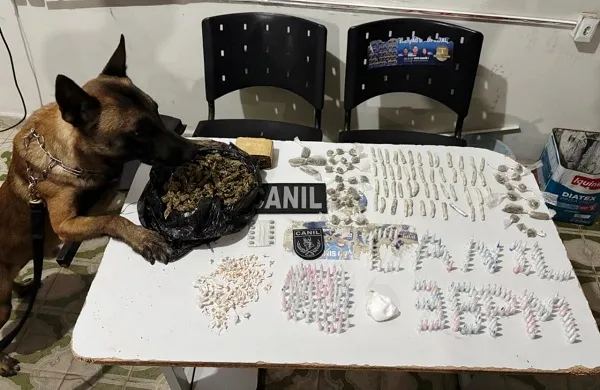 PM apreende drogas com auxílio de cão farejador em Arapiraca