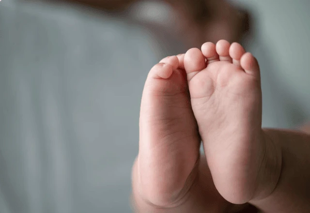 Número também está abaixo do chamado nível de reposição populacional, aponta IBGE | Freepik