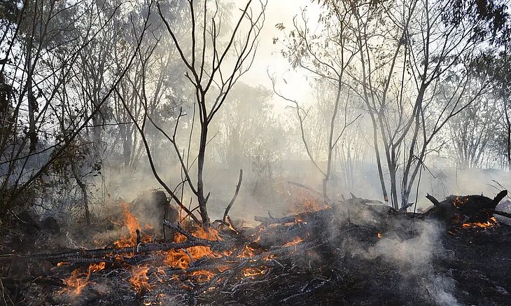 Primavera terá clima seco até meados de novembro, apontam institutos