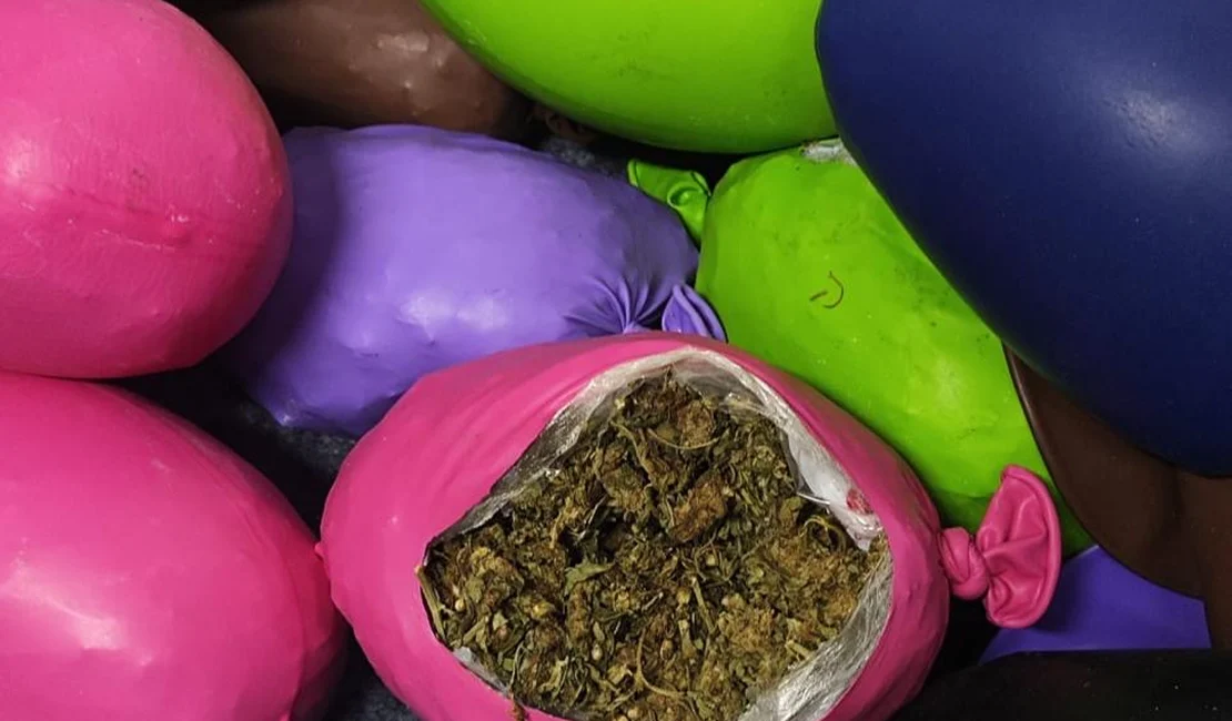 PM apreende 10 quilos de maconha escondidos em balões de festa