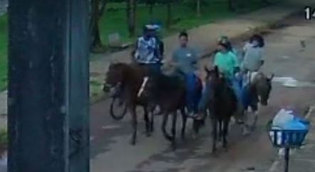 Menina de 14 anos sofre estupro coletivo após aceitar convite para andar a cavalo