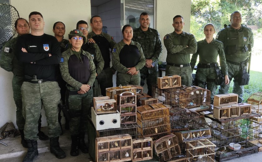 Operação pássaro livre apreende 112 animais silvestres na feirinha do tabuleiro