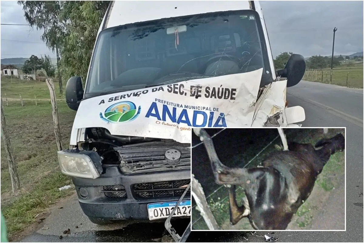 Acidente envolvendo van da prefeitura de Anadia deixa criança ferida na AL-450