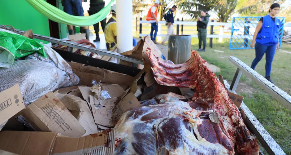 Carnes estavam prontas para serem entregues em estabelecimentos de Penedo. Anderson Macena/FPI