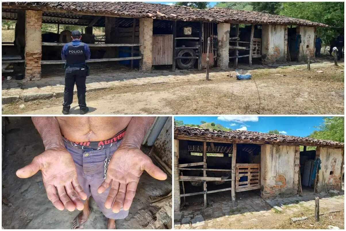 Trabalhadores em situação análoga à escravidão são resgatados no interior de Alagoas