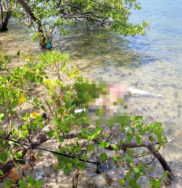 Corpo com marcas de tiros é encontrado na Praia do Gunga