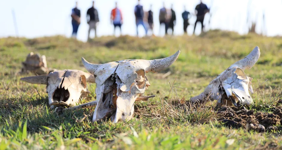 FPI flagra abate clandestino e recolhe carnes em condições impróprias para consumo