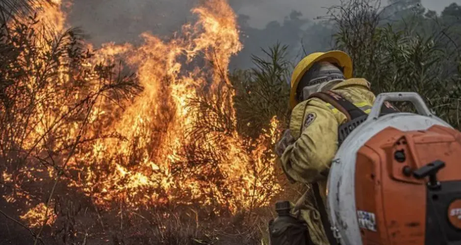 Brasil perdeu ‘uma Paraíba’ em queimadas só em agosto