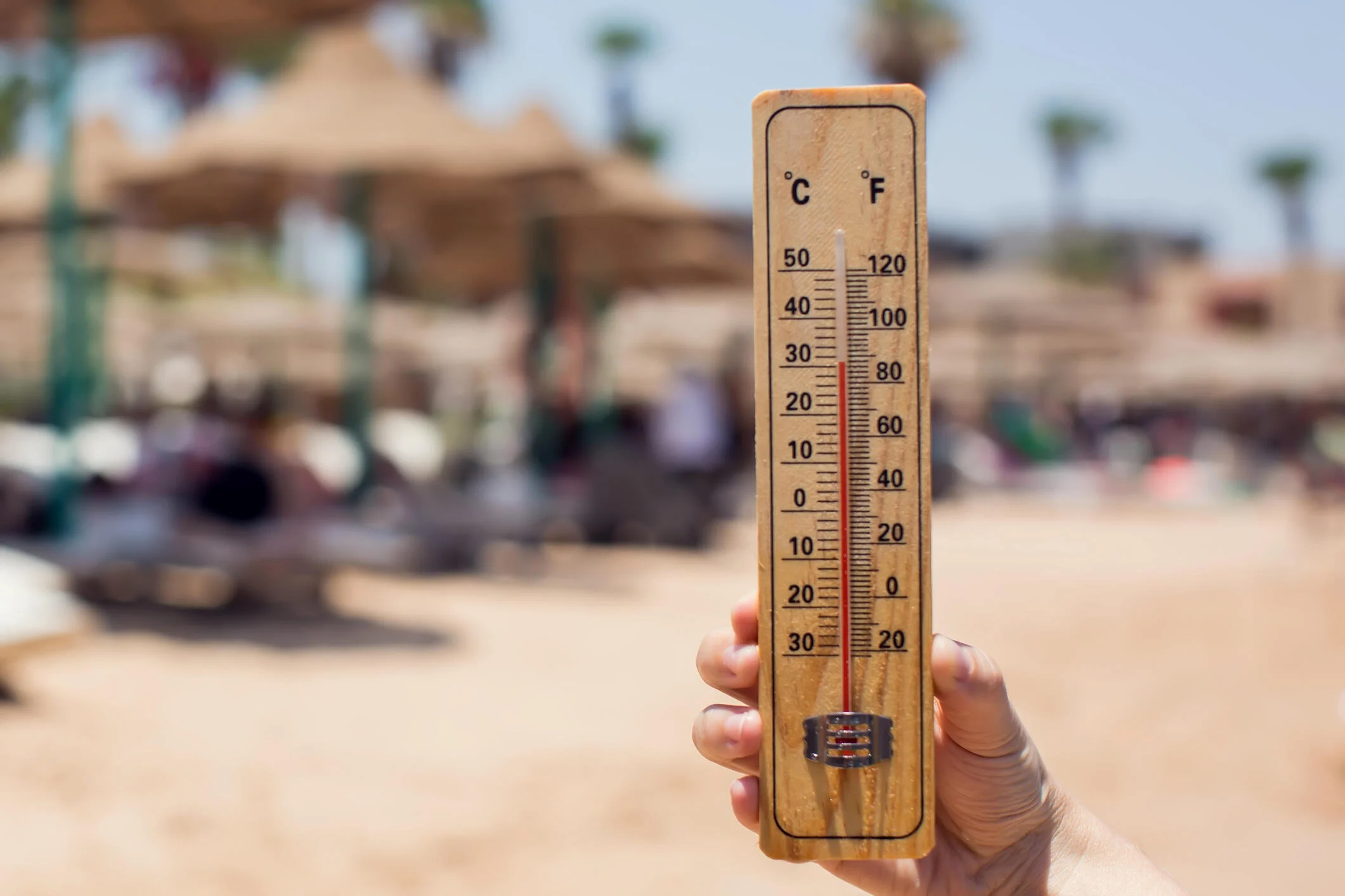 Dezembro vai ser quente, mas não terá ondas de calor intensas como as recentes, aponta a meteorologia