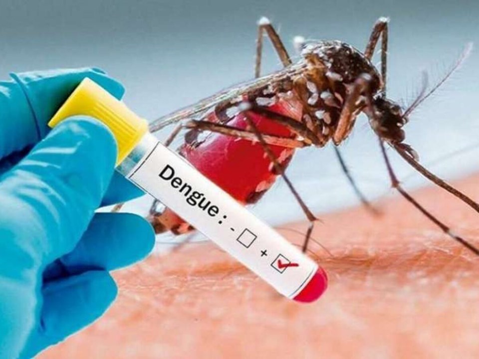 Dengue: Alagoas segue com 13 mortes e quase 11 mil casos confirmados em 2024