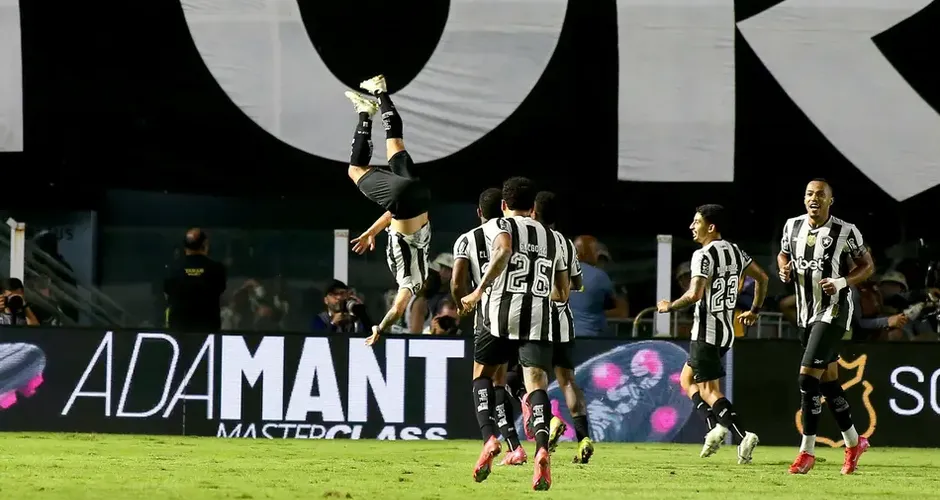 Bota venceu o Santos. Maurício de Souza/AGIF