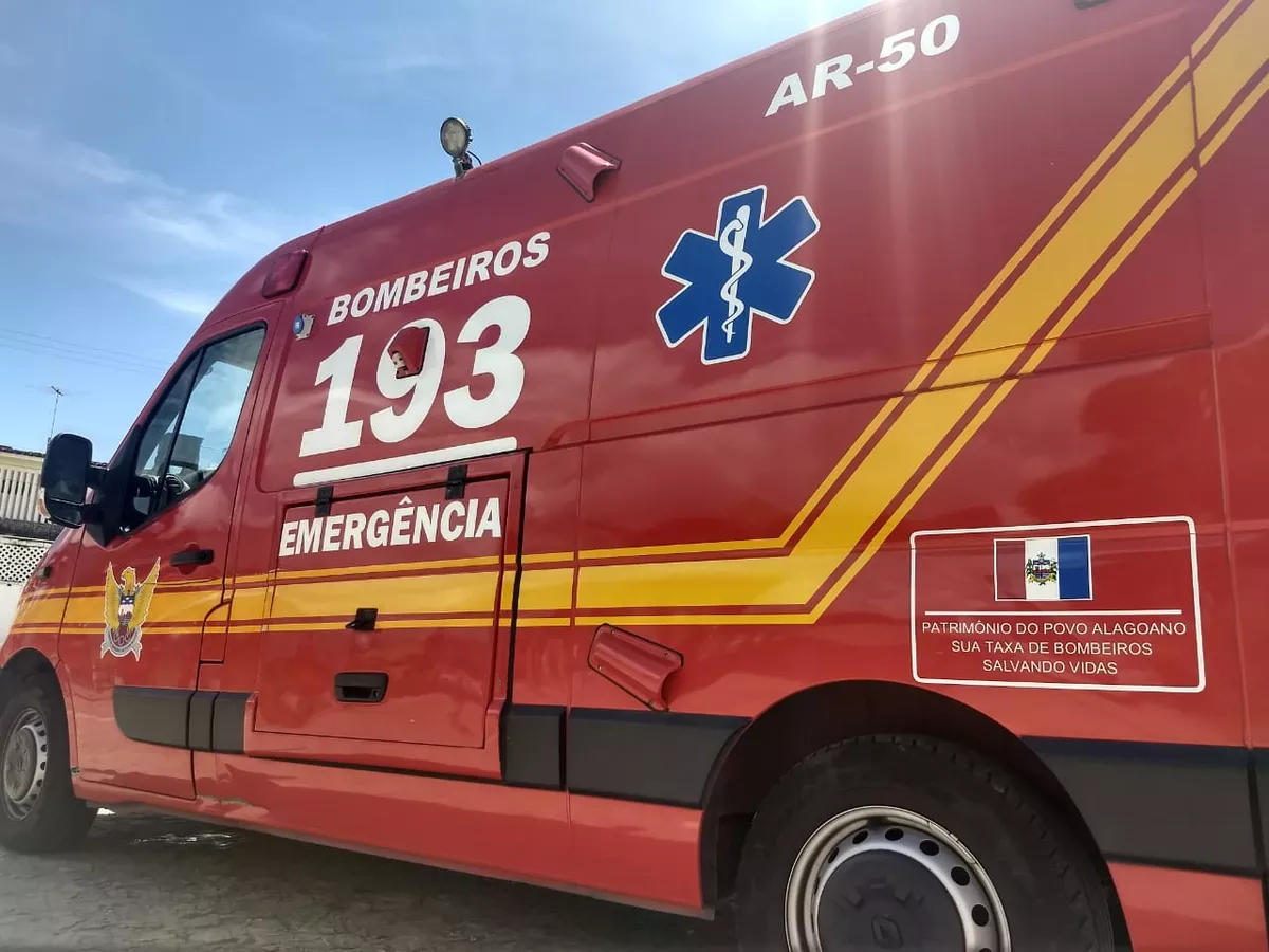 Mulher fica confinada em casa após ser mordida pelo próprio cachorro em Palmeira dos índios