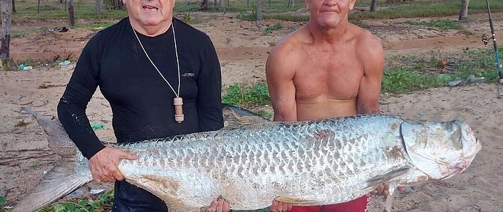 Pescadores capturam peixe com mais de 50 kg e dois metros de comprimento, na Praia do Gunga