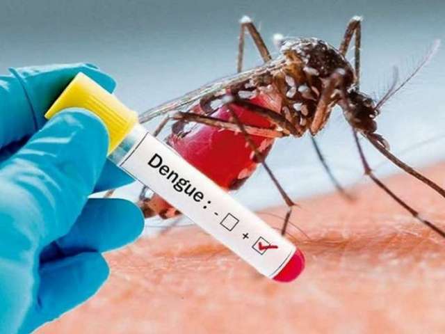 Alagoas e mais seis estados apresentam tendência de aumento de dengue