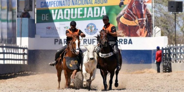 STF confirma legalidade da vaquejada e reconhece prática como manifestação cultural