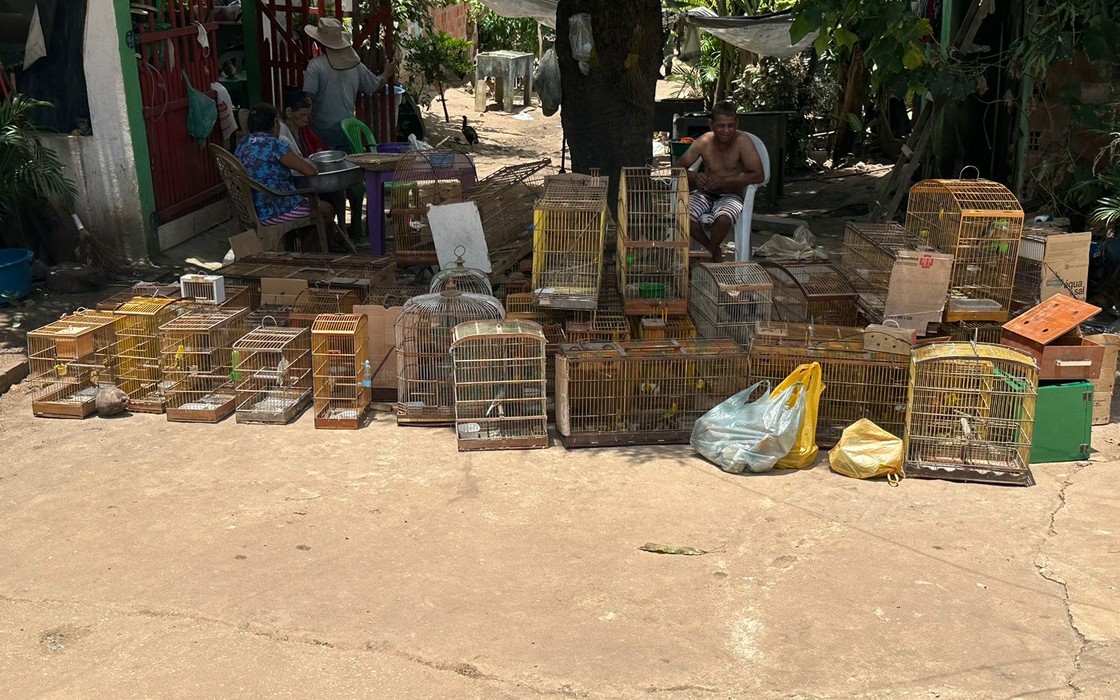 Pai e filho são presos com 43 aves silvestres em Taquarana