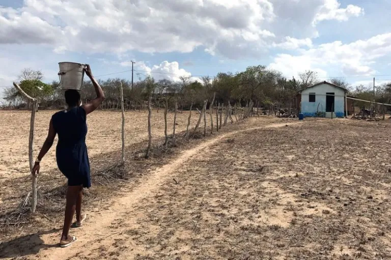 Mais de 20 municípios alagoanos vão solicitar situação de emergência por causa da seca