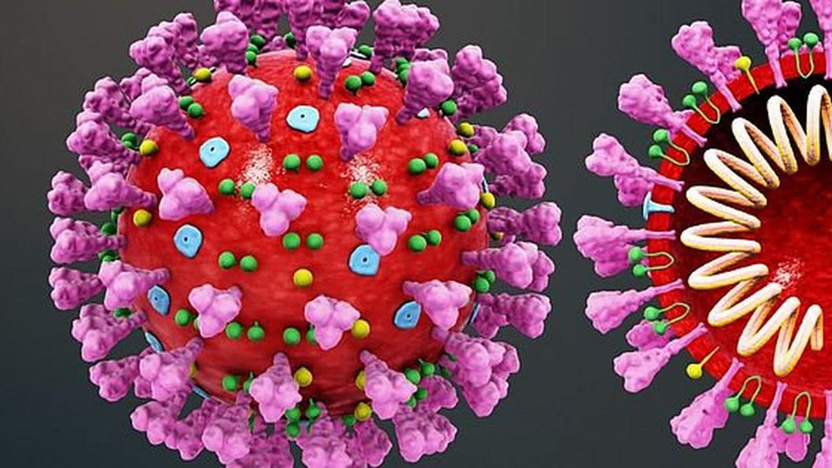 5 anos da covid: não existe risco iminente de nova pandemia, mas ‘possibilidade é real’