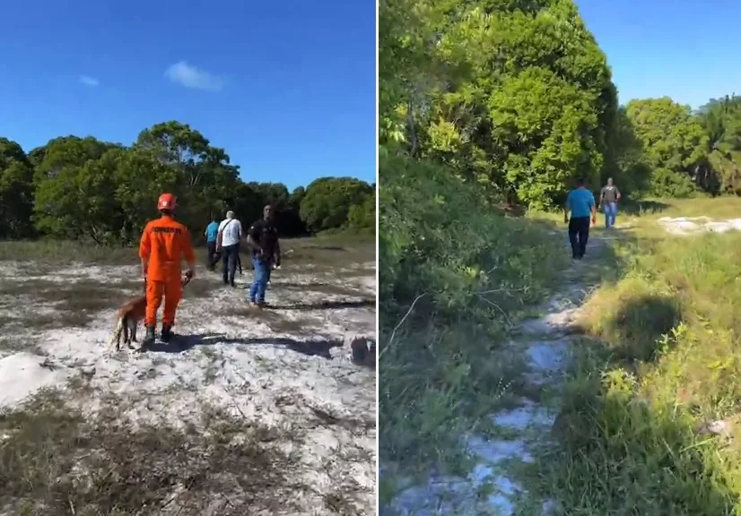 Corpo de jovem desaparecido no Carnaval é encontrado; dupla presa confessa crime