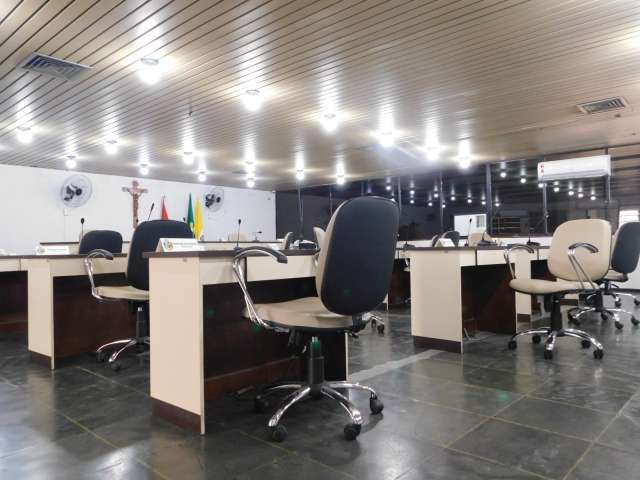 Pesquisa revela preferências eleitorais para Câmara Municipal de Palmeira