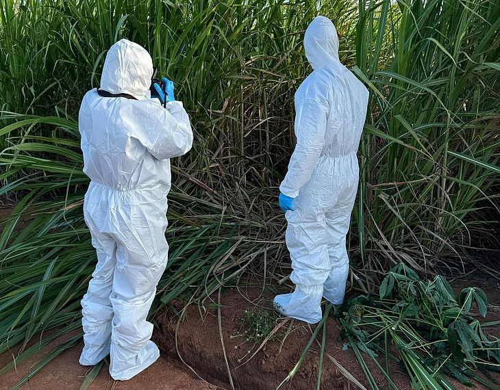 Corpo não tinha indícios de carbonização. Polícia Científica