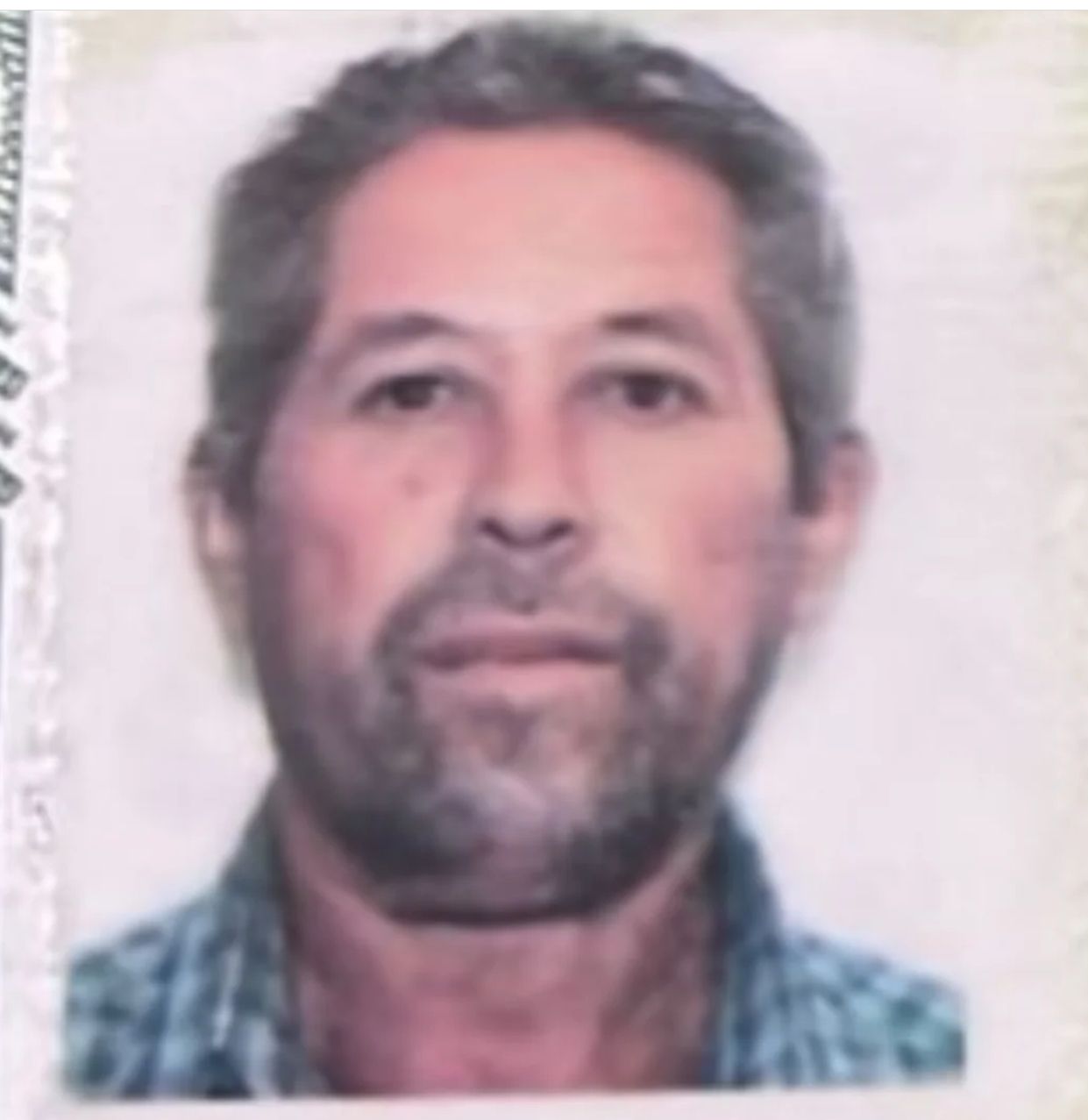 Homem de 64 anos morre após ser atacado por Porco em Batalha, no Sertão de Alagoas