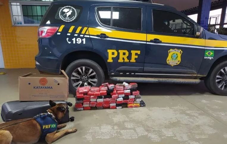 PRF apreende quase 57 kg de maconha em ônibus que vinha para Alagoas