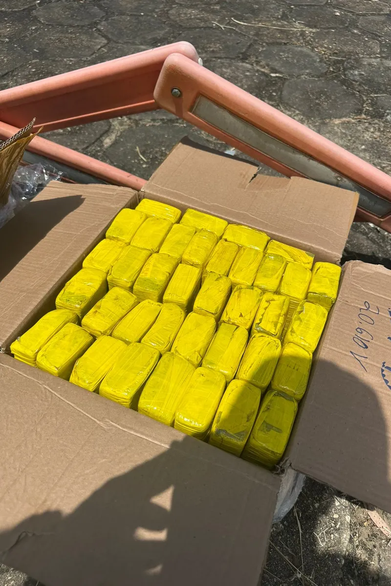 PM apreende cerca de 900 kg de maconha em São Sebastião