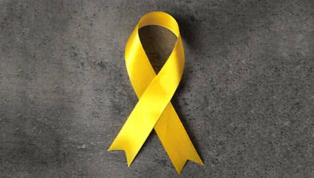 Setembro Amarelo: Secretaria de Saúde recebeu 715 notificações nos últimos 5 anos em Palmeira