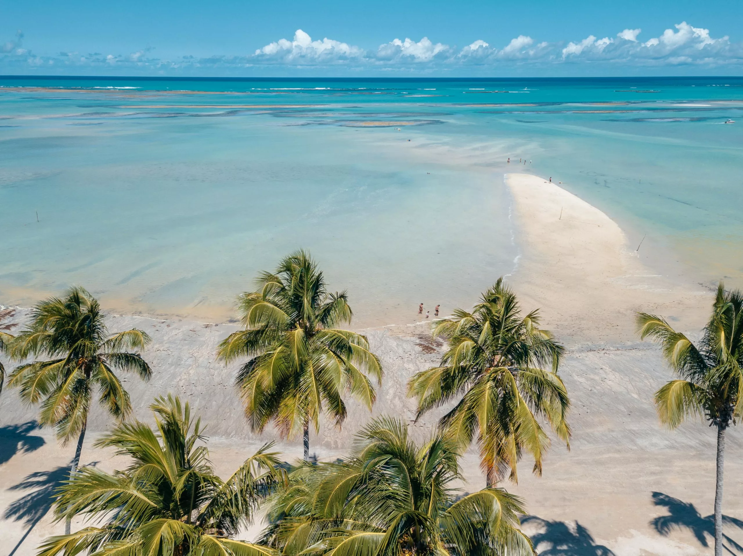 Em Alagoas: Maioria das praias continua própria para banho, diz IMA