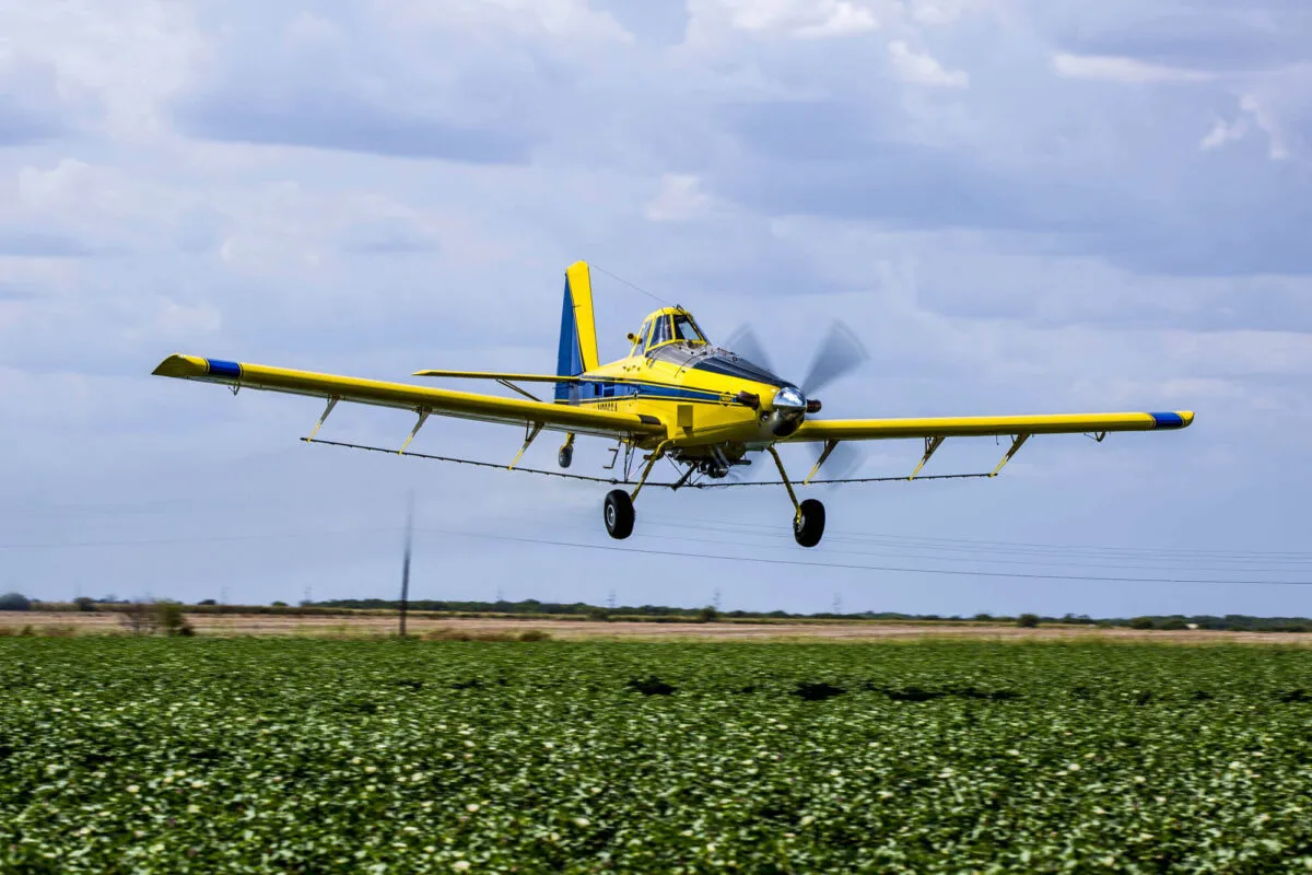 Avião é utilizado para a aplicações de diversos fertilizantes, fungicidas, inseticidas, herbicidas e diversas outras substâncias (ilustração)