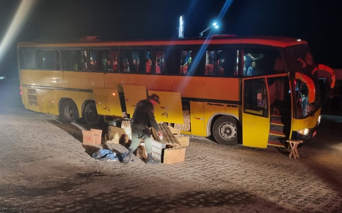 Homem é preso com quase 100 pássaros dentro de ônibus em Palmeira