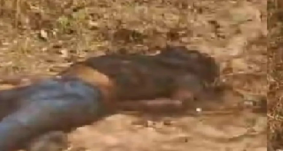 Corpo em estado de decomposição é encontrado em Igaci e pode ser de homem desaparecido