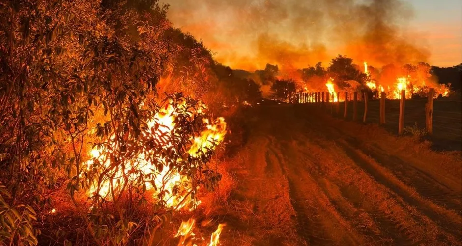 Fazendeiros são multados em R$ 100 milhões por queimarem 330 mil hectares no Pantanal