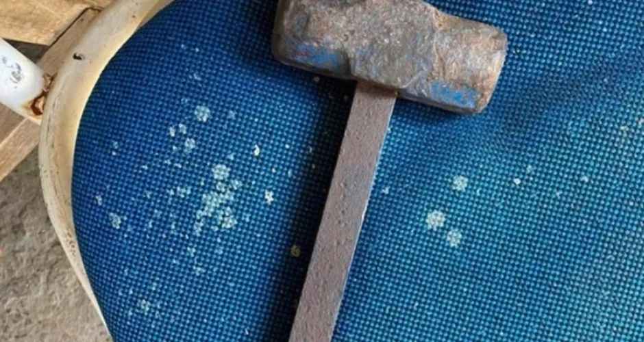 Justiça condena homem que matou cachorra após abusar sexualmente dela